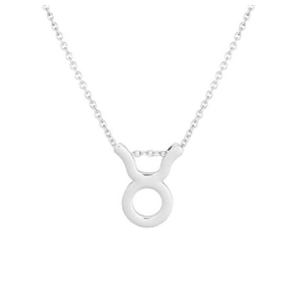 2/$30 Astrology Necklace Taurus Silver Tone Constellation Necklace Gift Simple - Picture 5 of 5